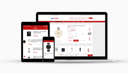 電商網(wǎng)站建設與系統(tǒng)開發(fā) 從規(guī)劃到上線的全流程解決方案